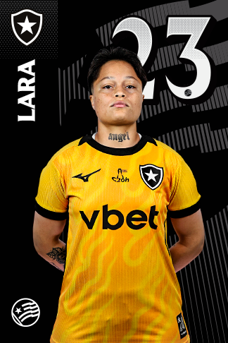  Ana Lara de Souza Silva
