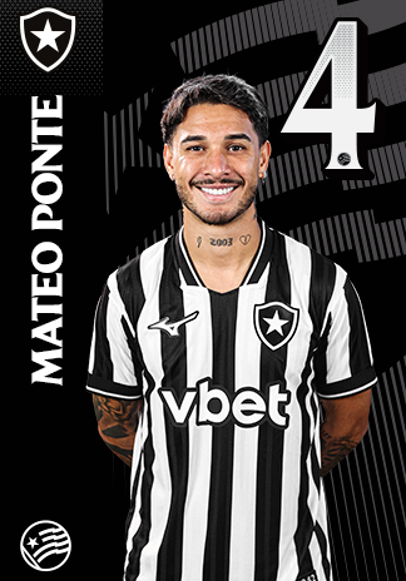 Foto de Ponte