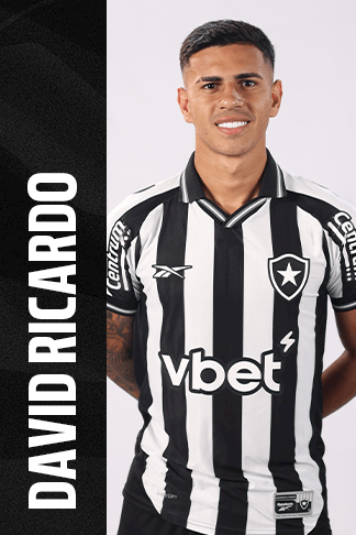 David Ricardo Loiola da Silva
