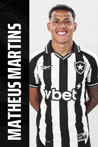 Matheus Martins Silva dos Santos