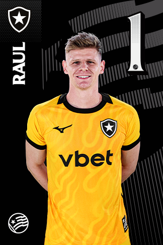 Raul Jonas Steffens  