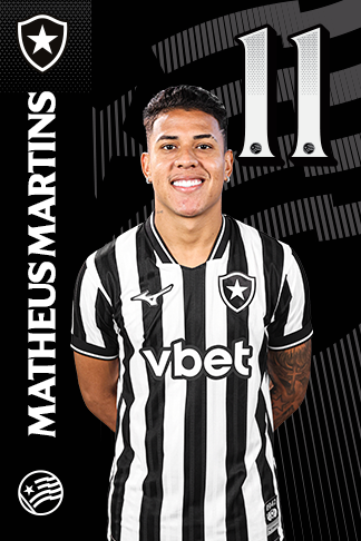 Matheus Martins Silva dos Santos