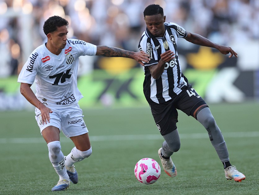 Botafogo 2 x 2 Santos