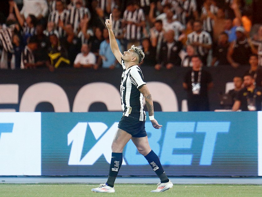 Botafogo 1 x 0 Palmeiras