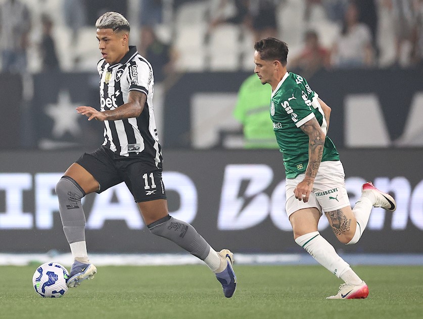 Botafogo 0 x 1 Palmeiras