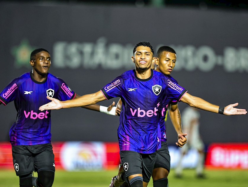 Portuguesa 0 x 2 Botafogo