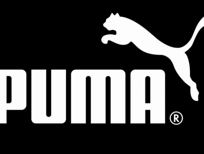 Botafogo e Puma