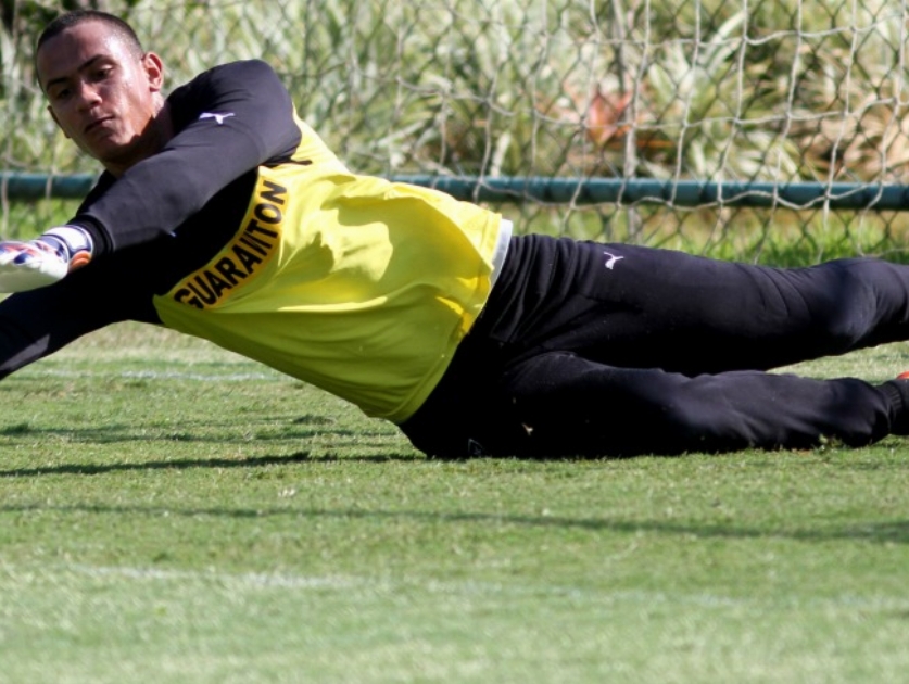 Por amor ao Botafogo