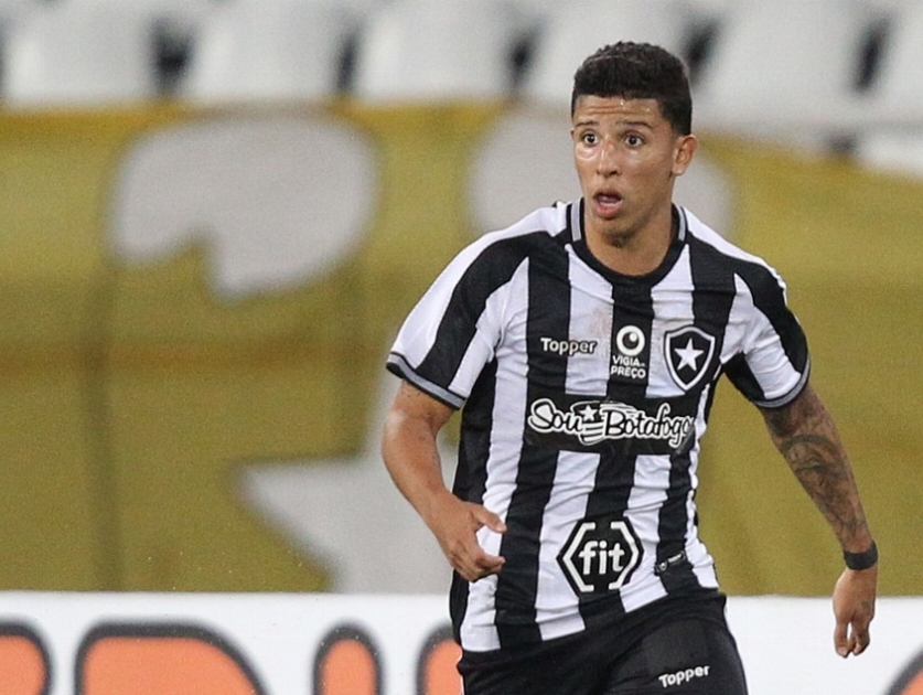 Aprendizado e evolução