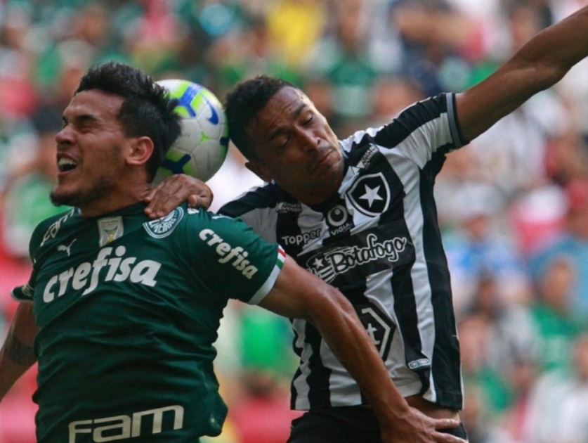Botafogo 0 x 1 Palmeiras