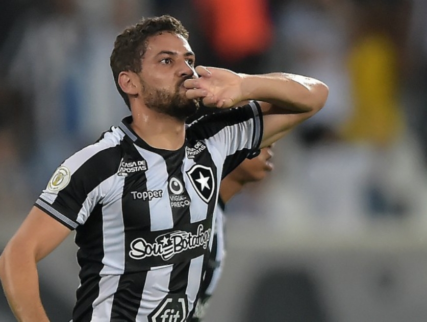 Por amor ao Botafogo