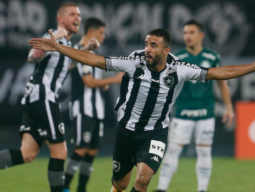 Botafogo 2 x 1 Palmeiras!