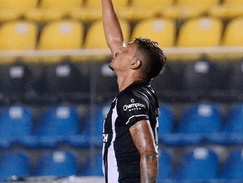 Botafogo 7x1 Brasiliense 