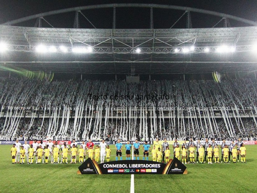 BOTAFOGO 1 X 3 JÚNIOR BARRANQUILLA