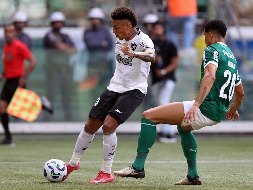 PALMEIRAS 0 X 0 BOTAFOGO 