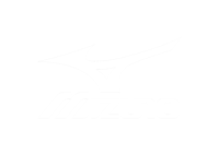 Mizuno